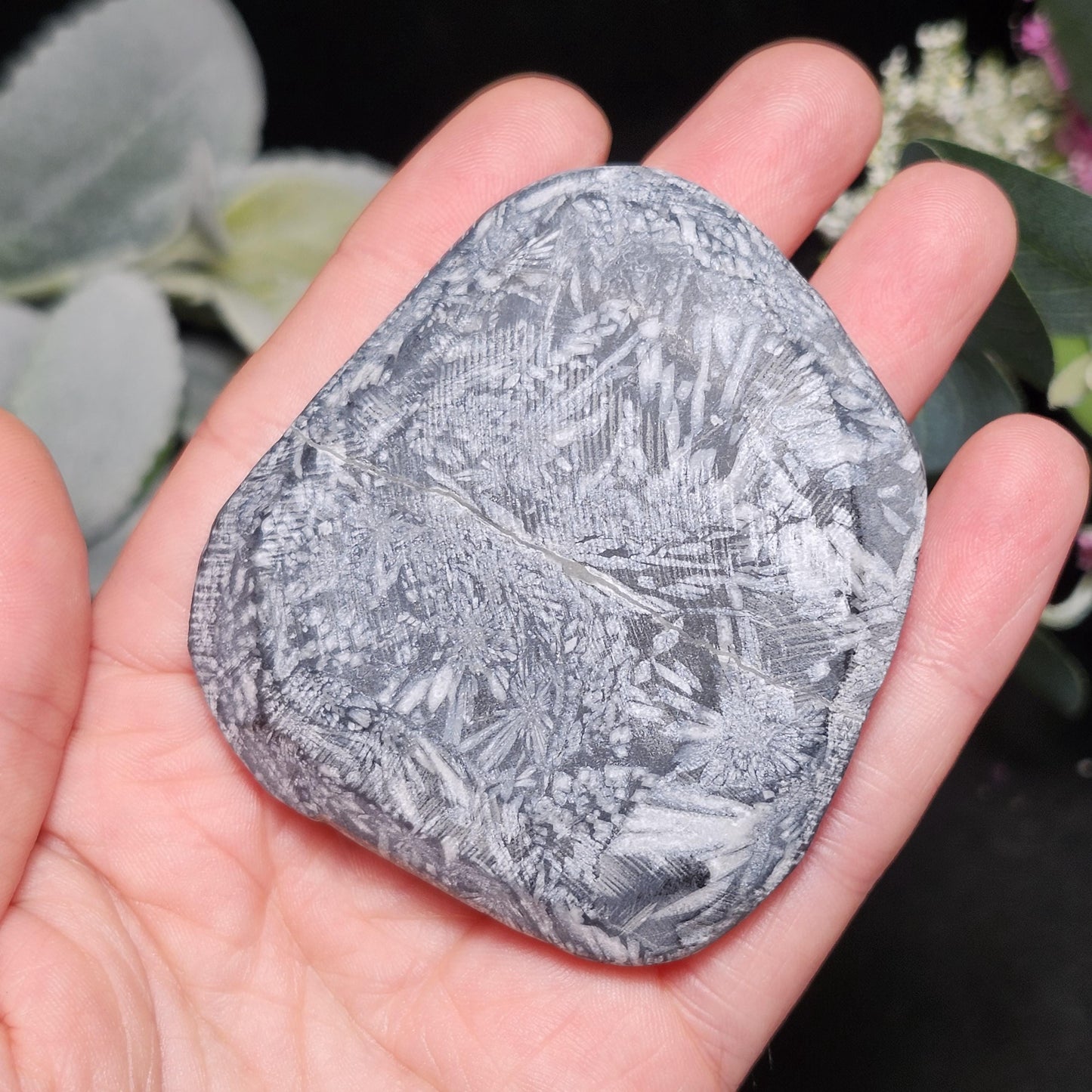 Chrysanthemum Stone, Polished Palm Stone