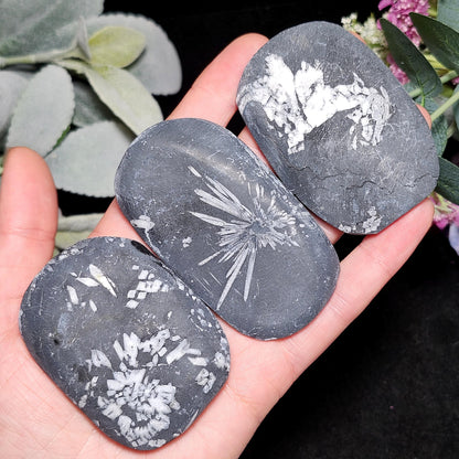 Chrysanthemum Stone, Polished Palm Stone