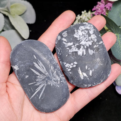 Chrysanthemum Stone, Polished Palm Stone