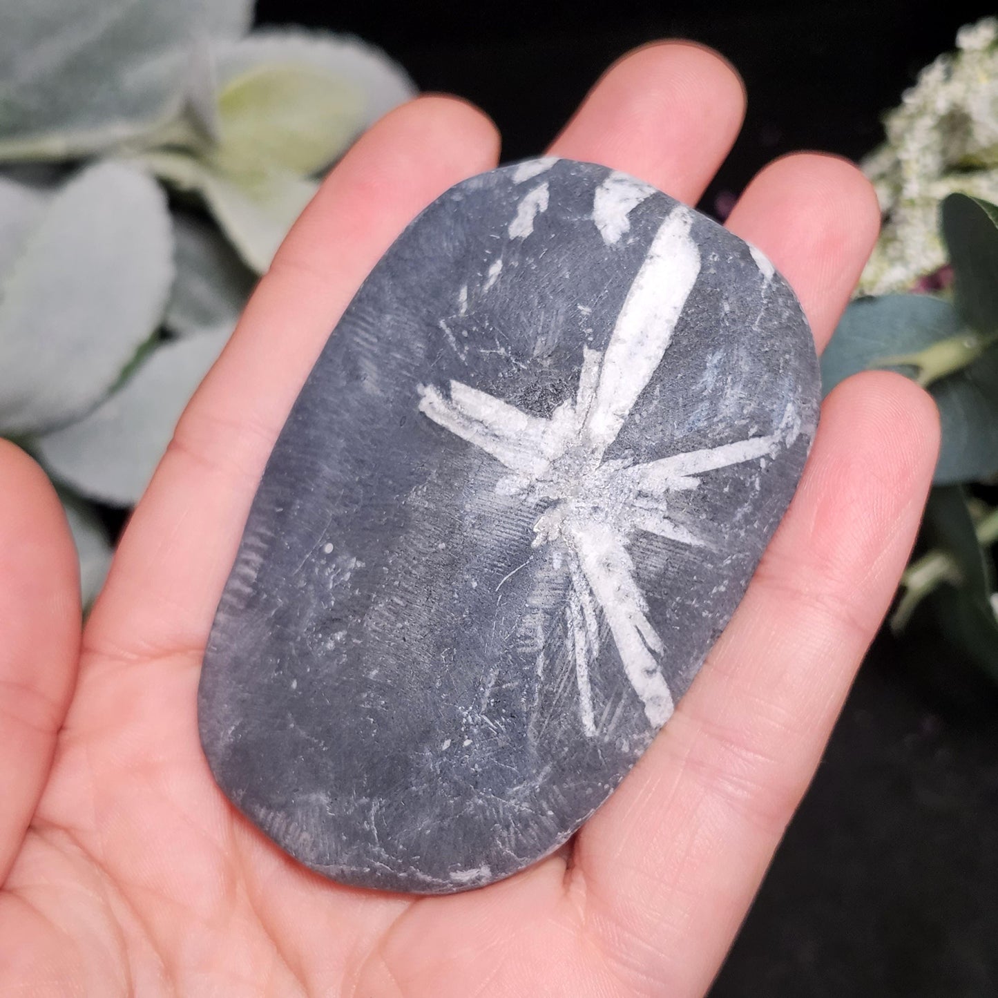 Chrysanthemum Stone, Polished Palm Stone