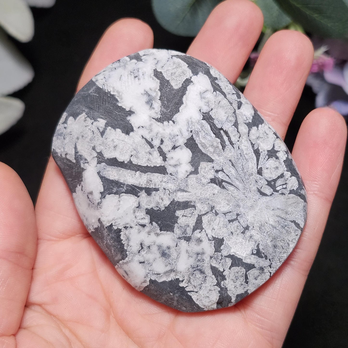Chrysanthemum Stone, Polished Palm Stone
