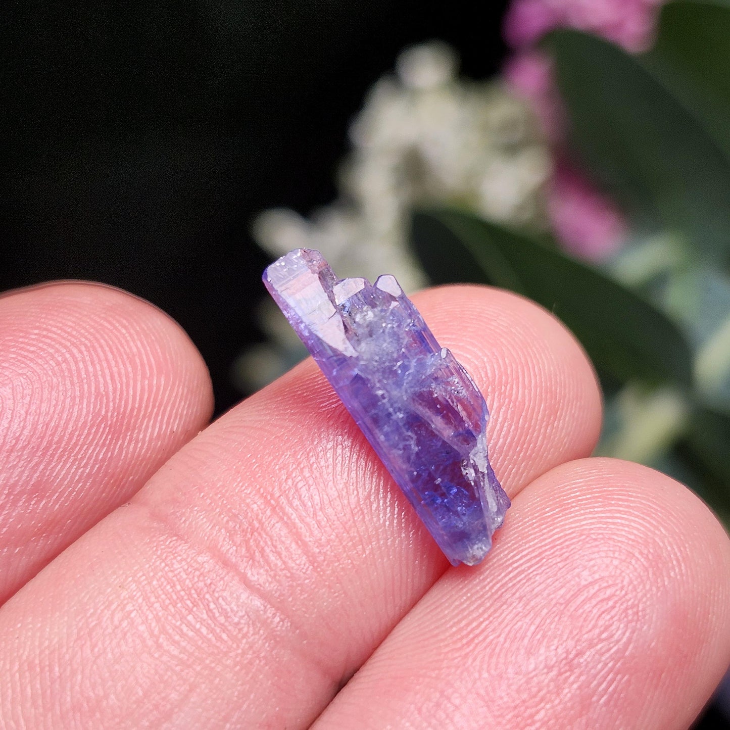 Moldavite & Tanzanite Locket Pendant