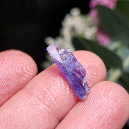 Moldavite & Tanzanite Locket Pendant