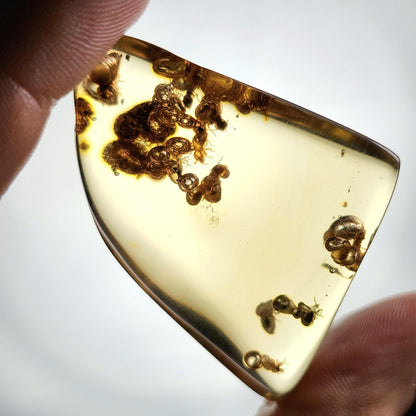 Amber with Bugs & Static ENHYDRO 10.5g