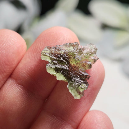 Besednice "Hedgehog" Moldavite 1.2g