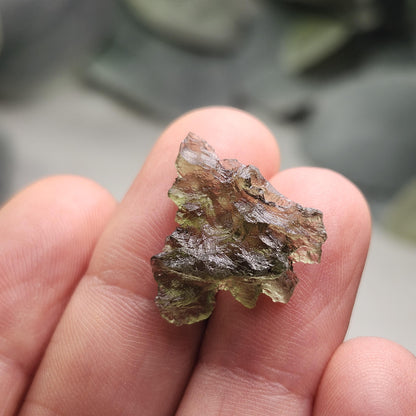 Besednice "Hedgehog" Moldavite 1.2g