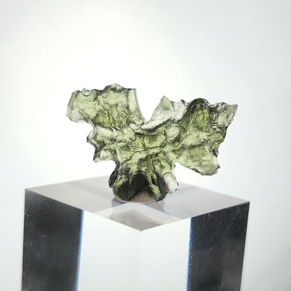Besednice "Hedgehog" Moldavite 1.5g