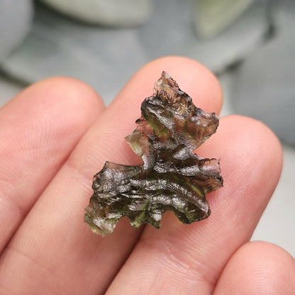 Besednice "Hedgehog" Moldavite 1.5g
