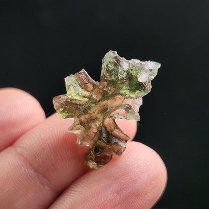 Besednice "Hedgehog" Moldavite 1.5g