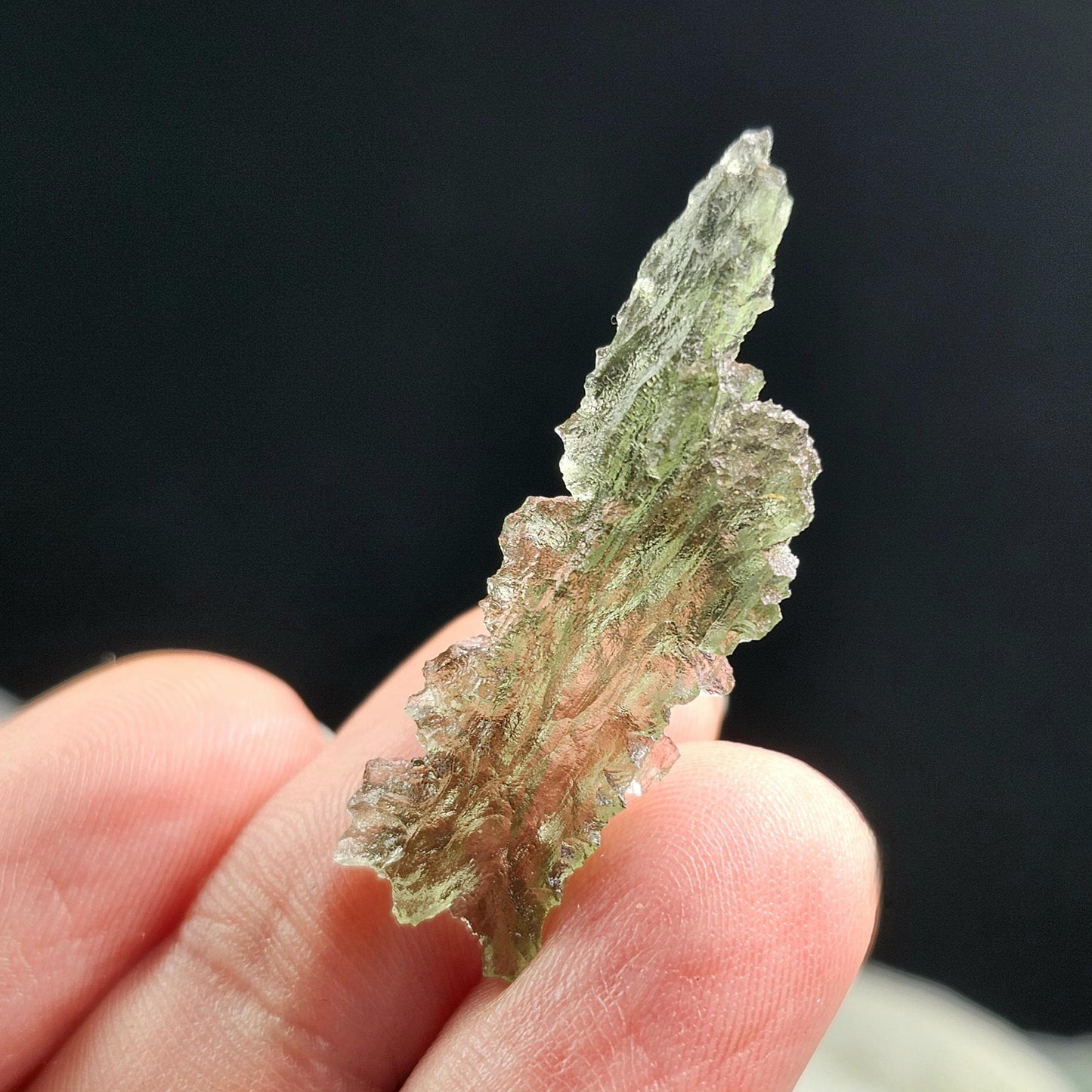 Besednice "Hedgehog" Moldavite 1.7g