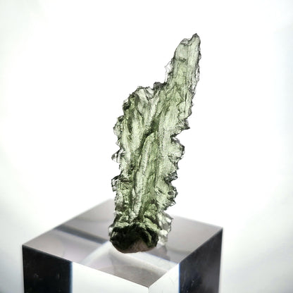 Besednice "Hedgehog" Moldavite 1.7g