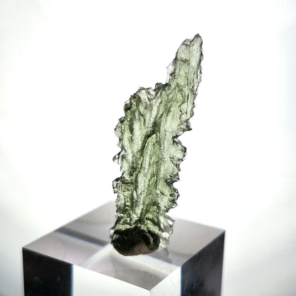 Moldavite Besednice "Hedgehog" Crystal 1.75g