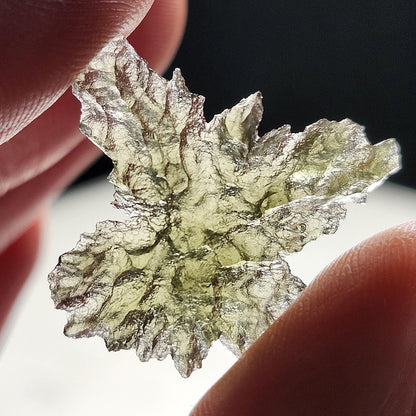 Besednice "Hedgehog" Moldavite 1g