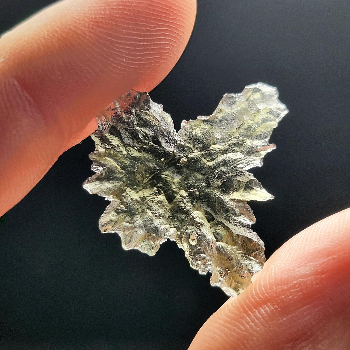 Besednice "Hedgehog" Moldavite 1g