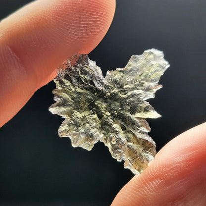 Besednice "Hedgehog" Moldavite 1g