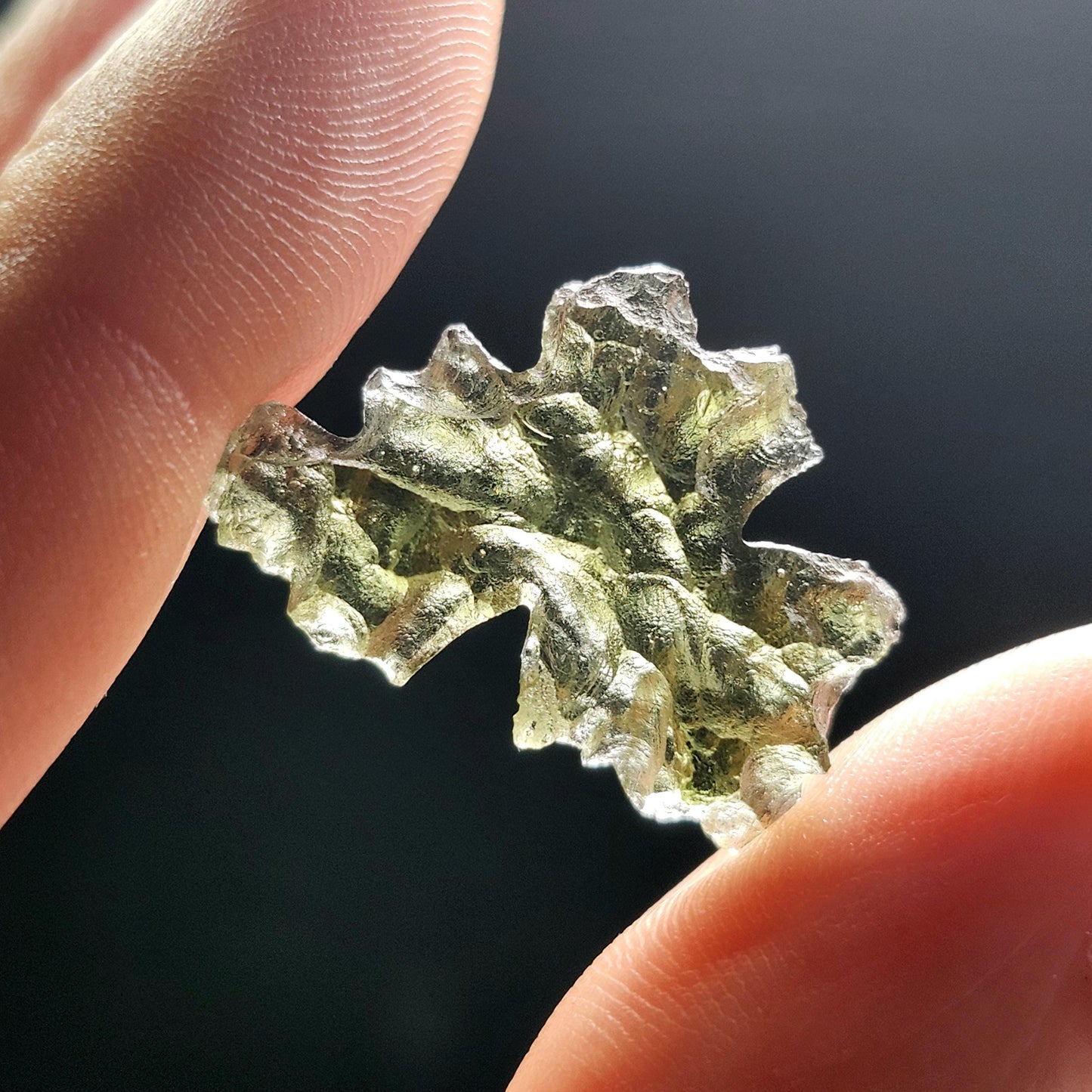 Besednice "Hedgehog" Moldavite 1.5g
