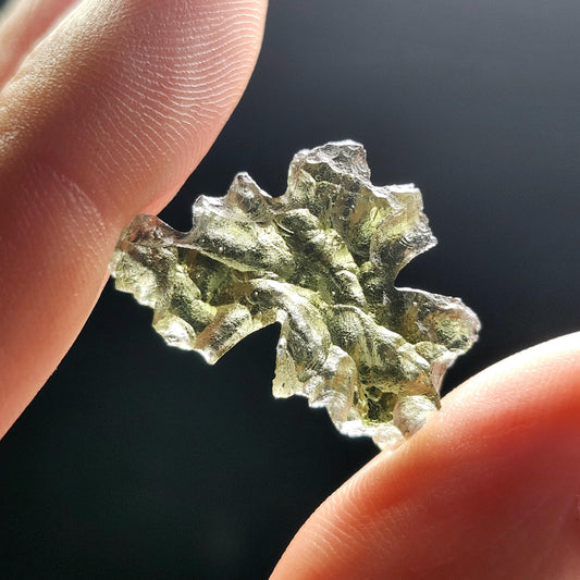Besednice "Hedgehog" Moldavite 1.5g