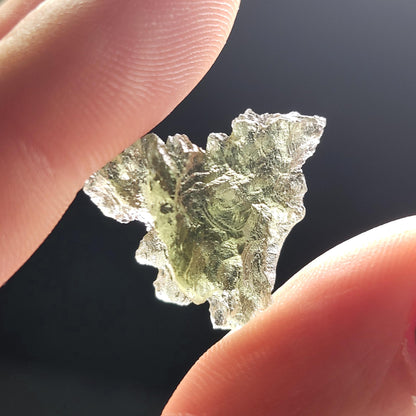 Besednice "Hedgehog" Moldavite 1.2g