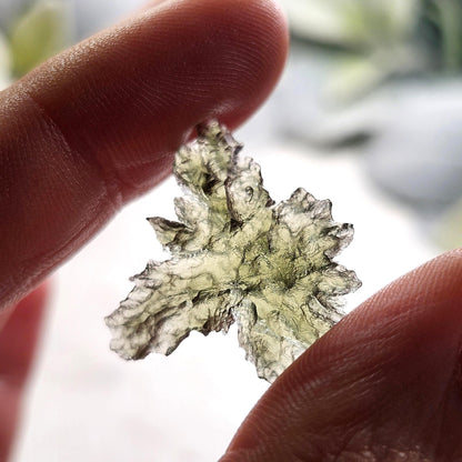 Besednice "Hedgehog" Moldavite 1g