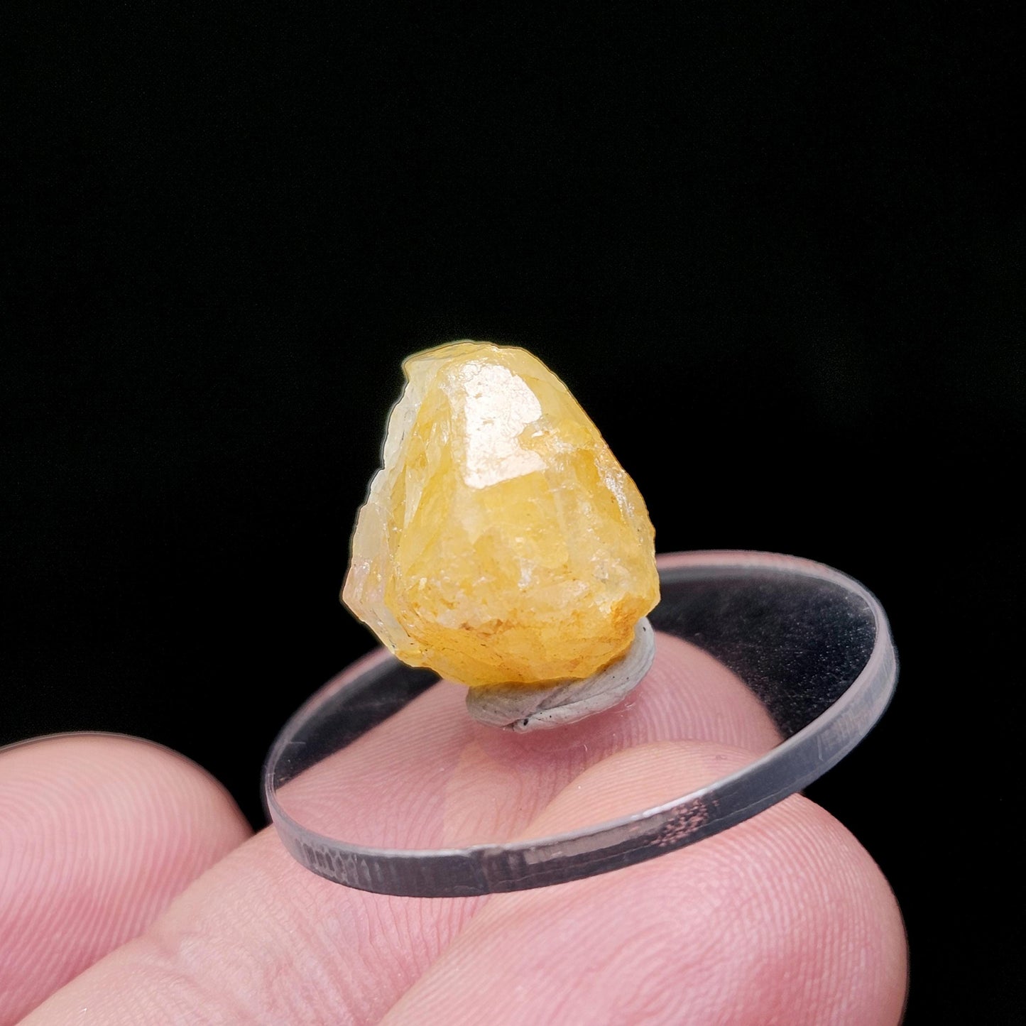 Golden Phenacite Crystal 1.9g