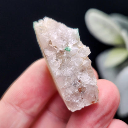Ajoite Quartz Crystal 12.6g