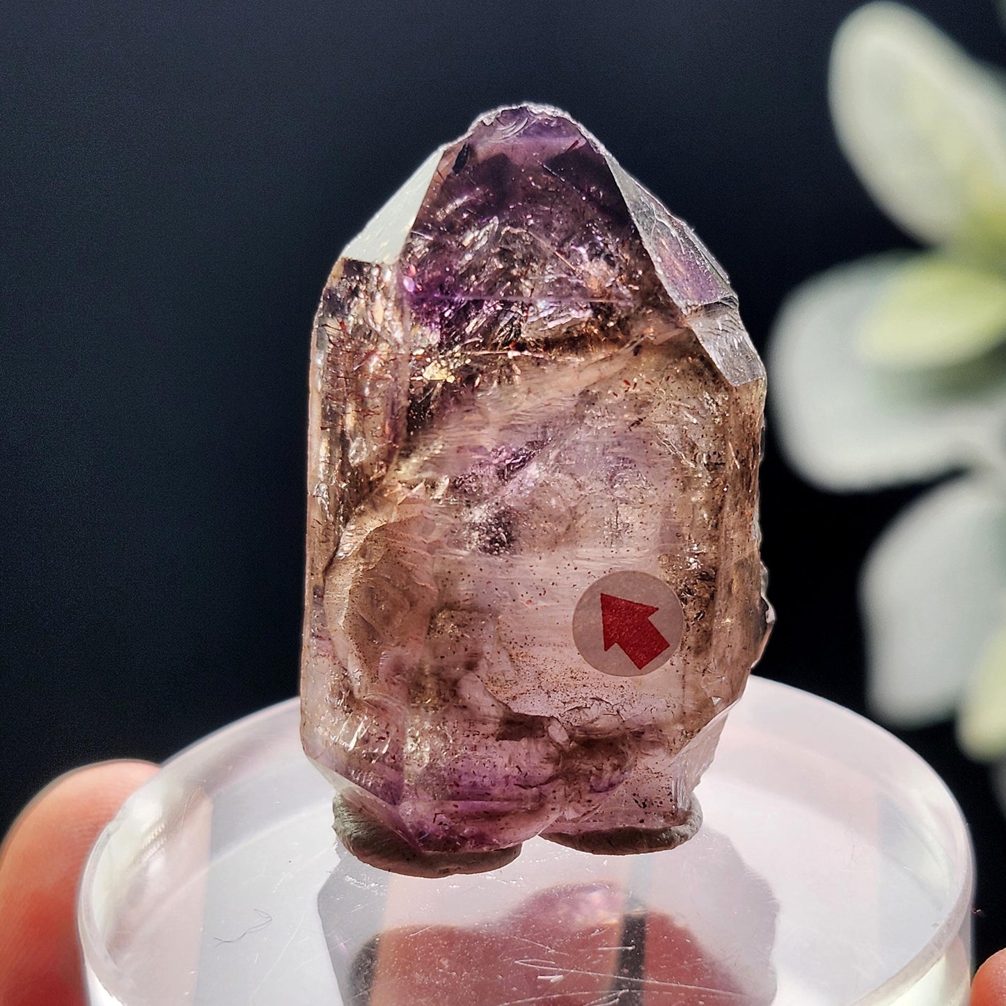 Enhydro Shangaan Amethyst 31g