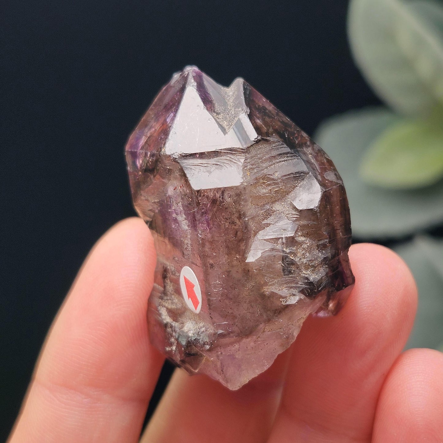 Enhydro Shangaan Amethyst 31g