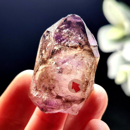 Enhydro Shangaan Amethyst 31g
