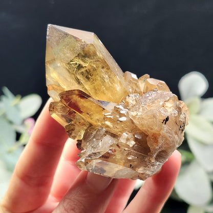 Kundalini Citrine 154g