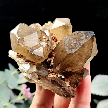 Kundalini Citrine 258g