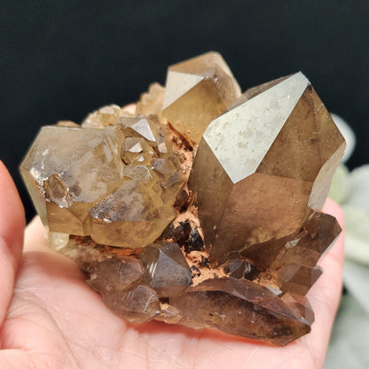 Kundalini Citrine 258g