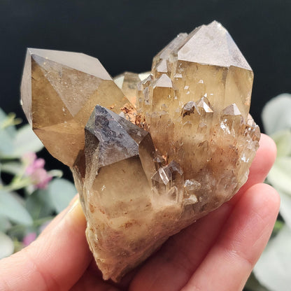 Kundalini Citrine 258g