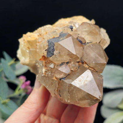Kundalini Quartz, Natural Congo Citrine Cluster 499g, Smoky Citrine