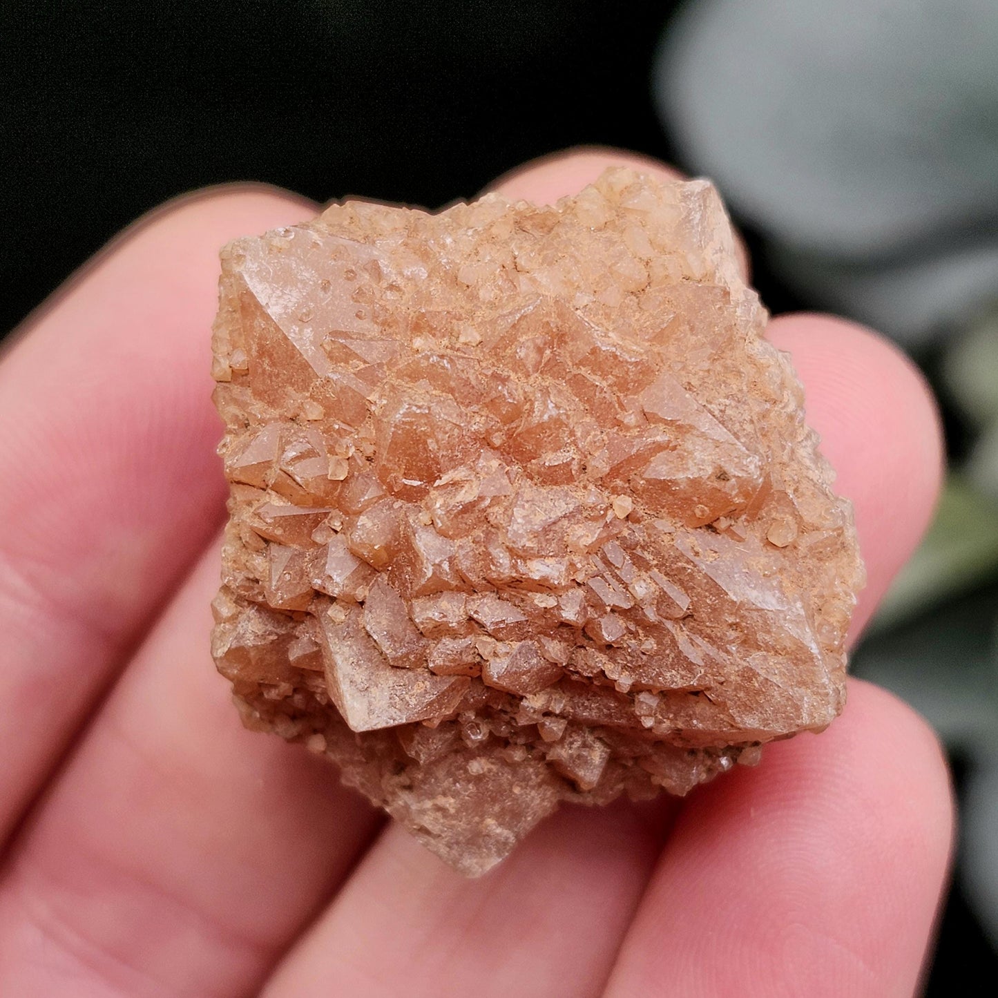 Pink Quartz Cluster from Palos Parados