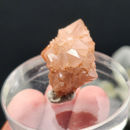 Pink Quartz Cluster from Palos Parados