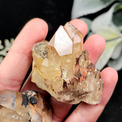 Kundalini Citrine Crystal 50g+, Natural Congo Citrine
