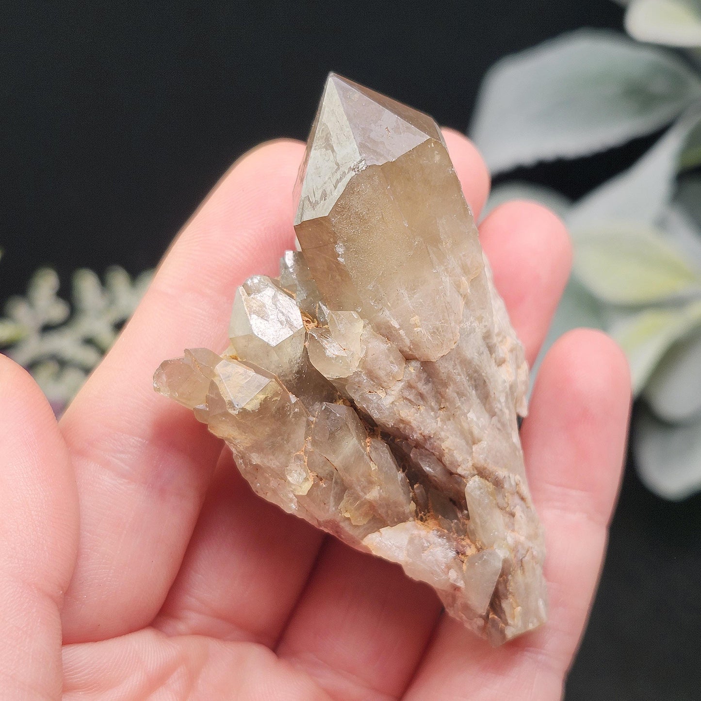 Kundalini Citrine Crystal 50g+, Natural Congo Citrine