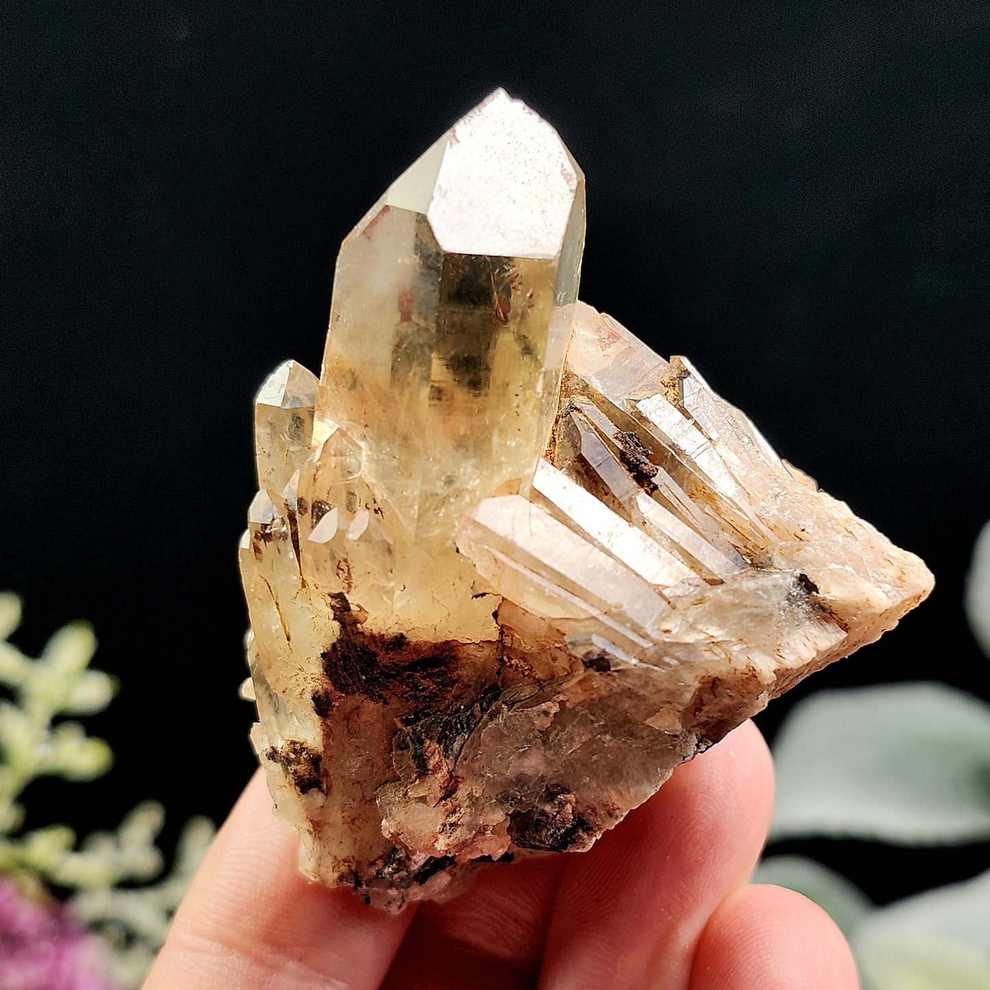 Kundalini Citrine Crystal 50g+, Natural Congo Citrine