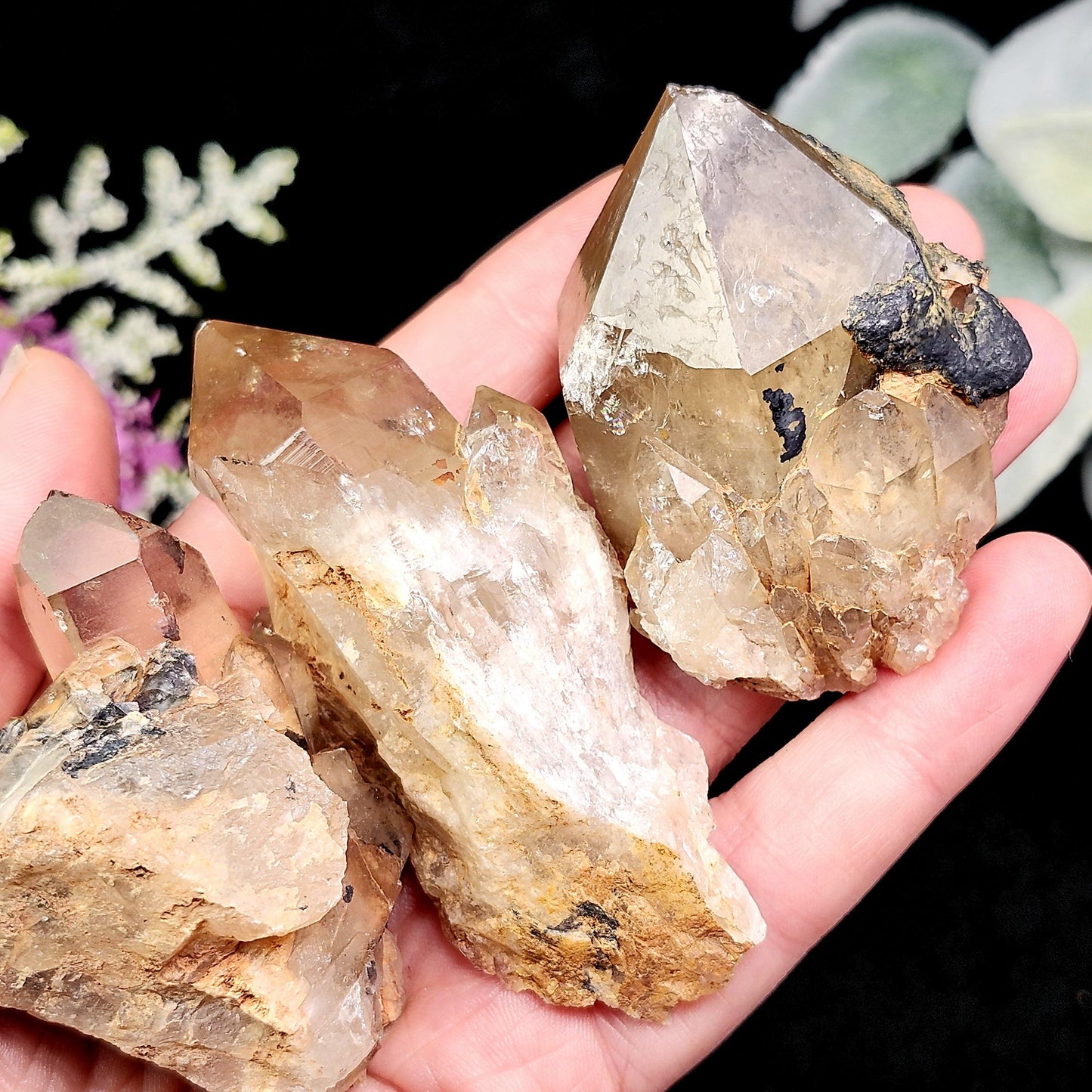 Kundalini Citrine Crystal 50g+, Natural Congo Citrine