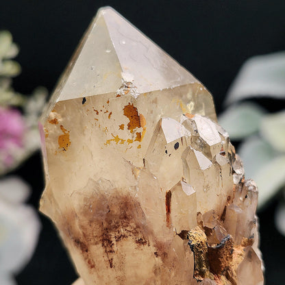 Kundalini Citrine 195g