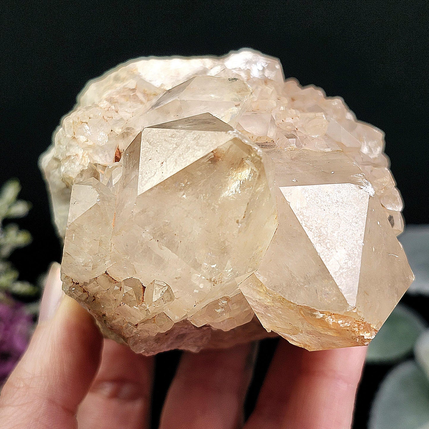 Congo Citrine Cluster 492g