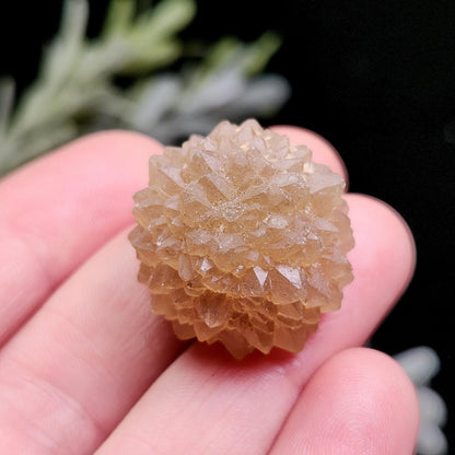 Natural Star Citrine from Morocco