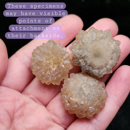 Natural Star Citrine from Morocco