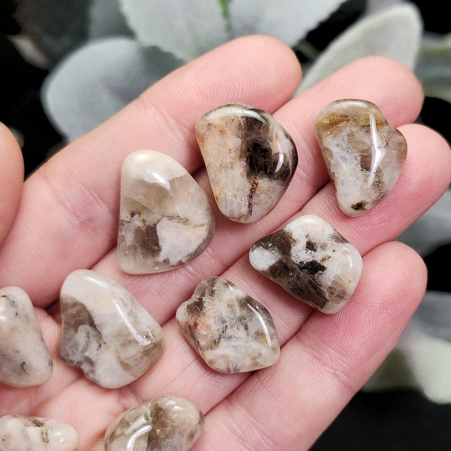 Belomorite Smoky Moonstone Crystal