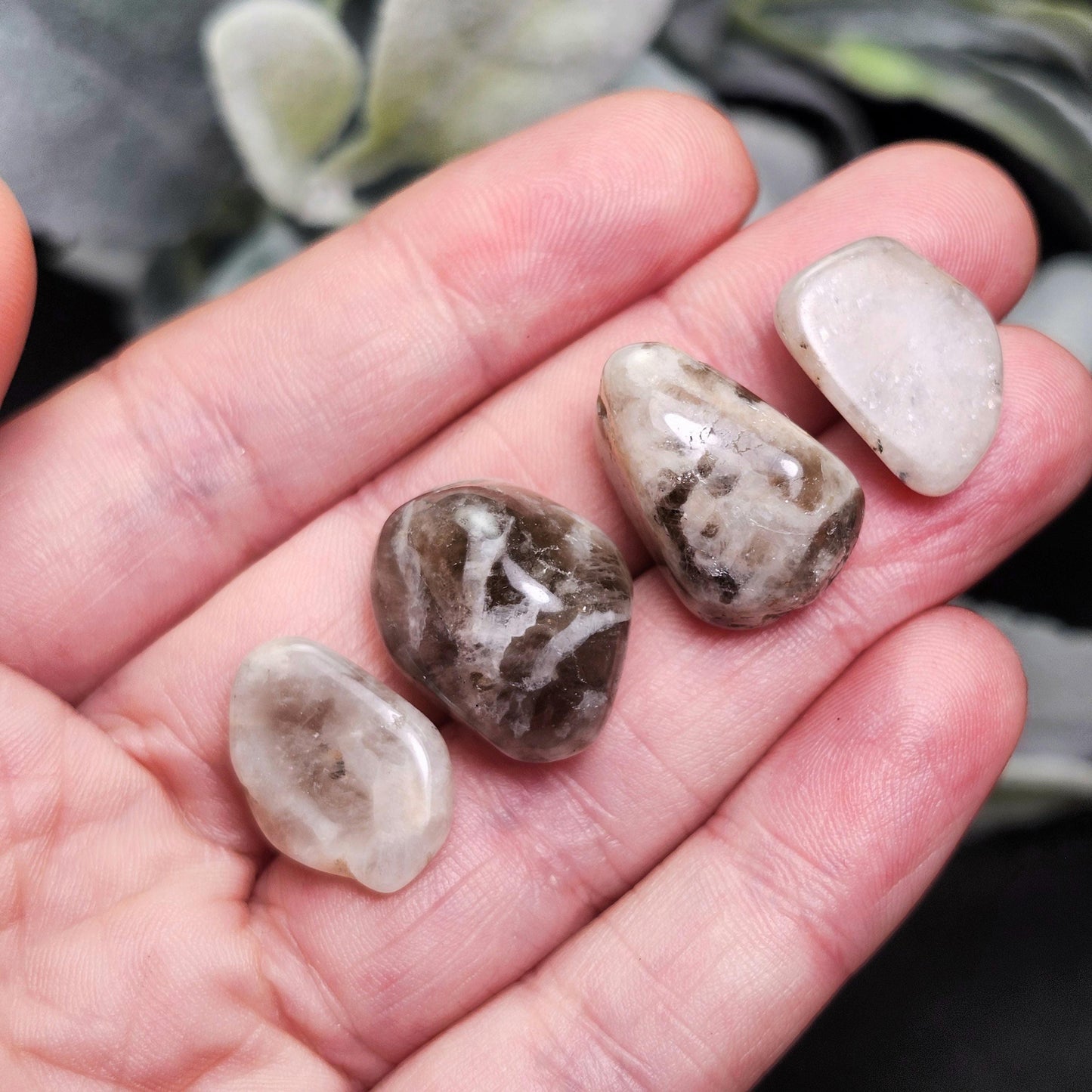 Belomorite Smoky Moonstone Crystal