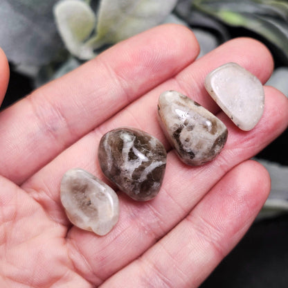 Belomorite Smoky Moonstone Crystal