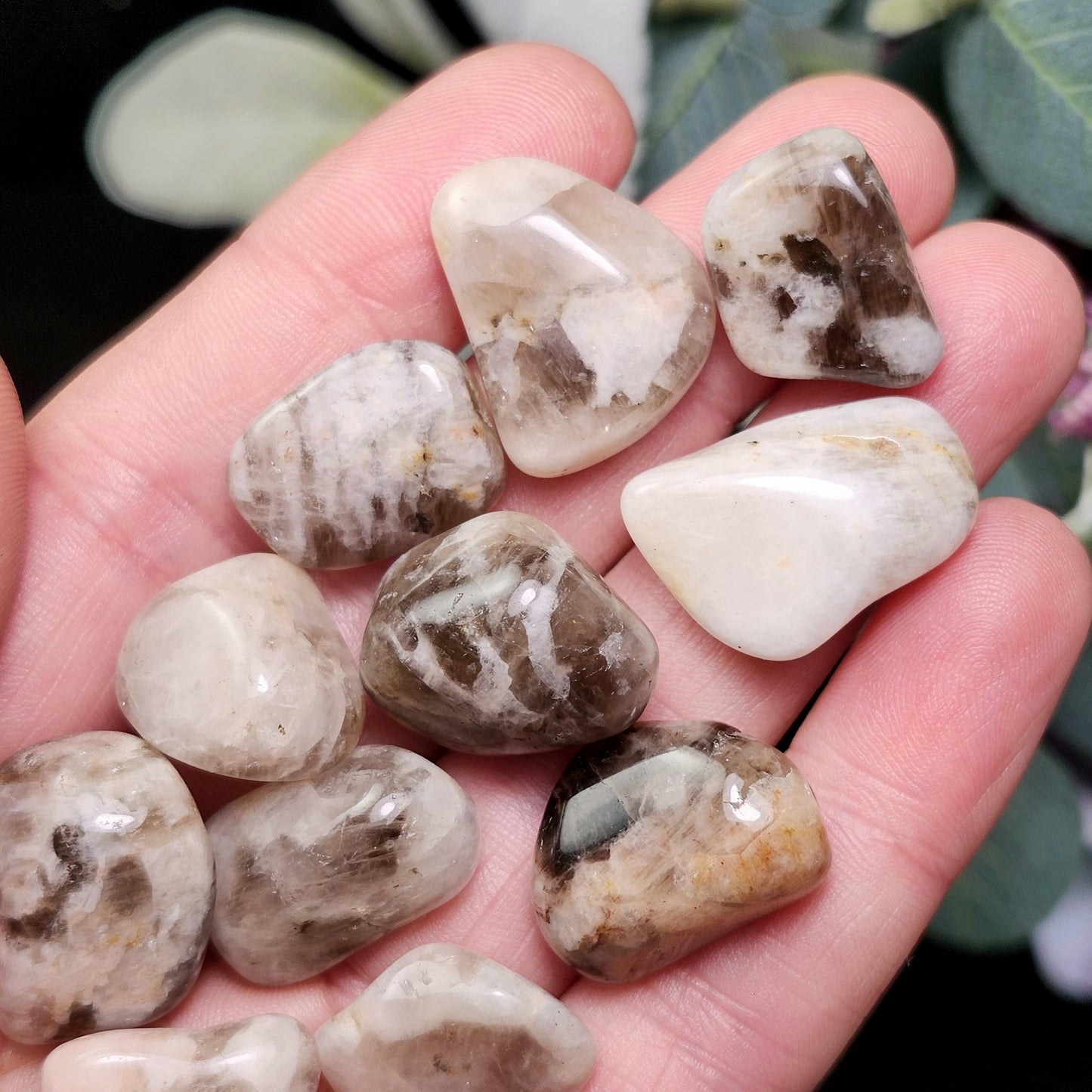Belomorite Smoky Moonstone Crystal