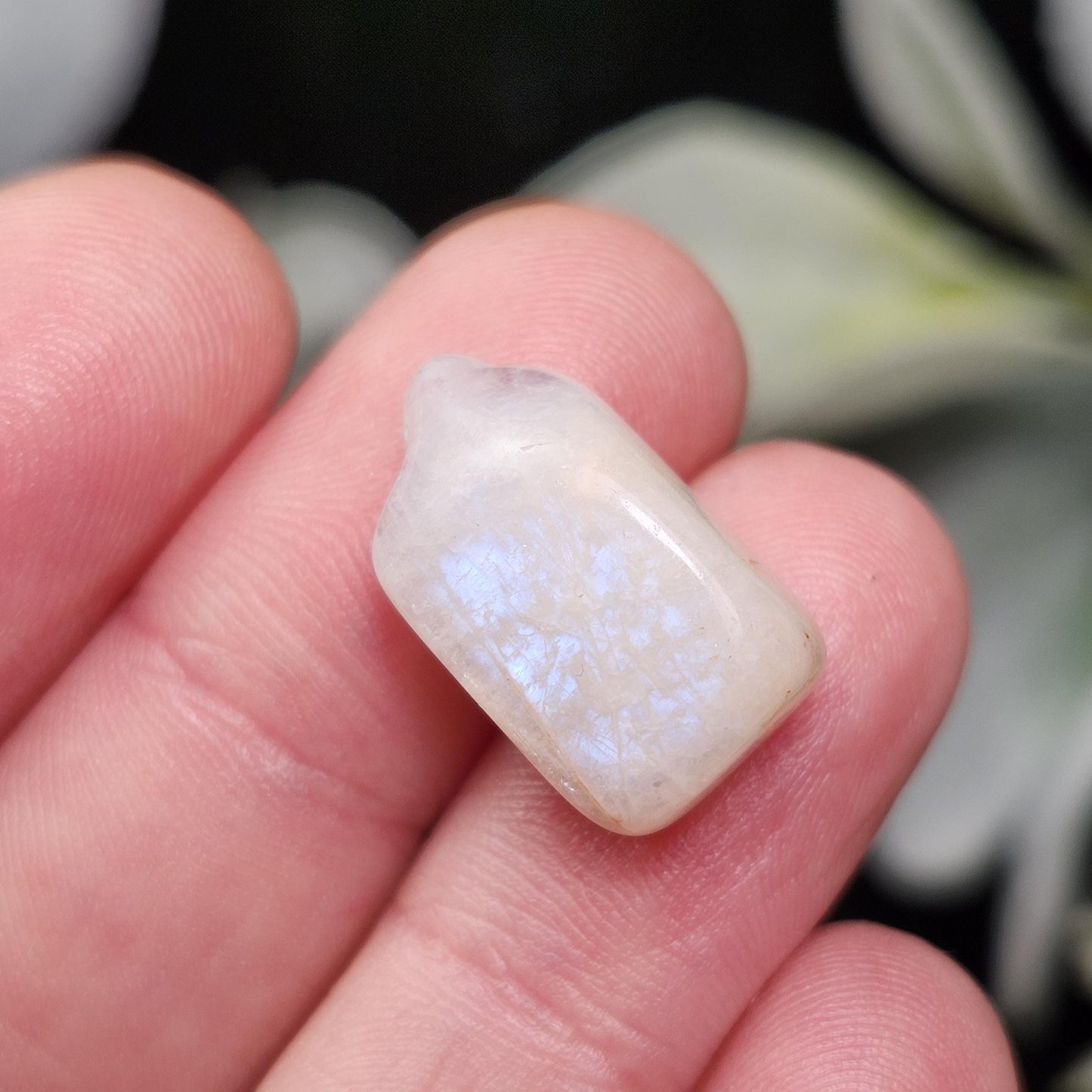 Belomorite Rainbow Moonstone Crystal