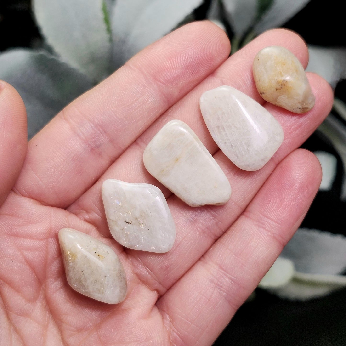Belomorite Rainbow Moonstone Crystal