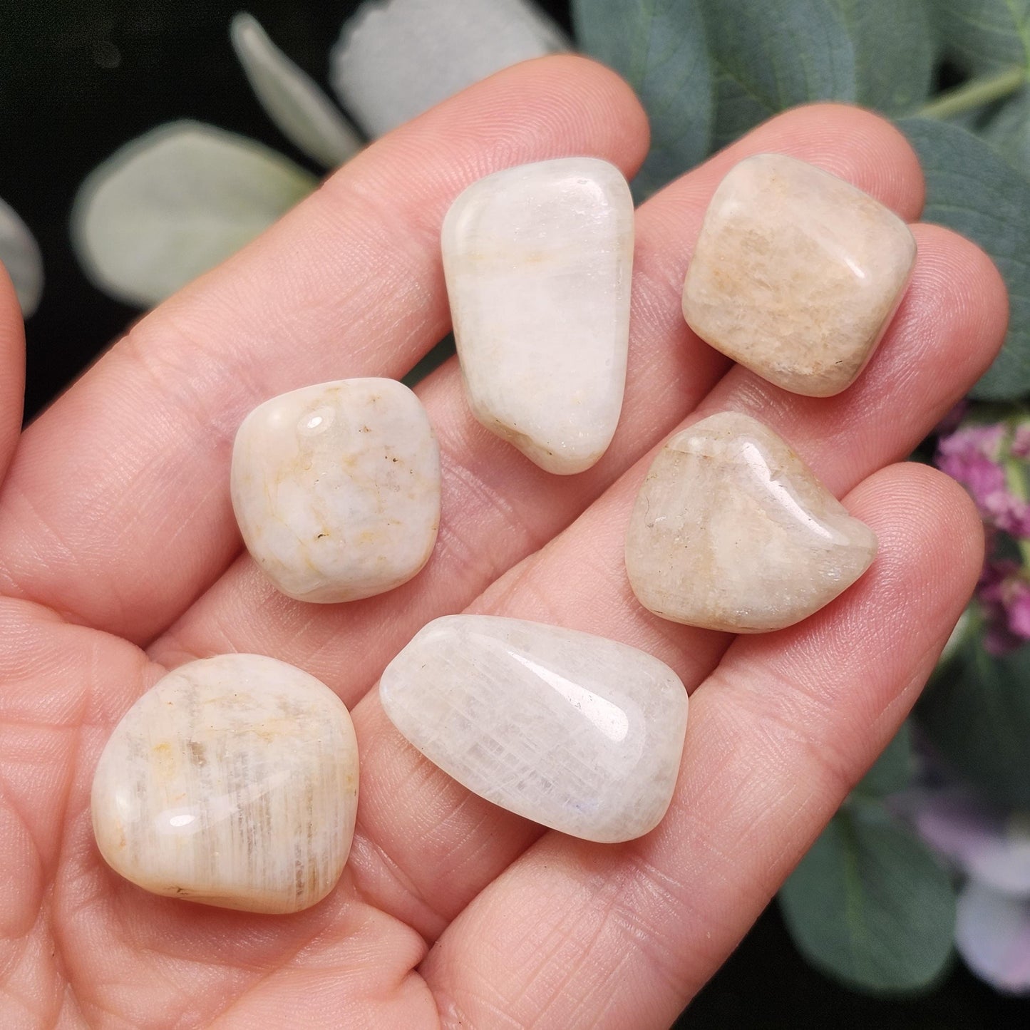 Belomorite Rainbow Moonstone Crystal